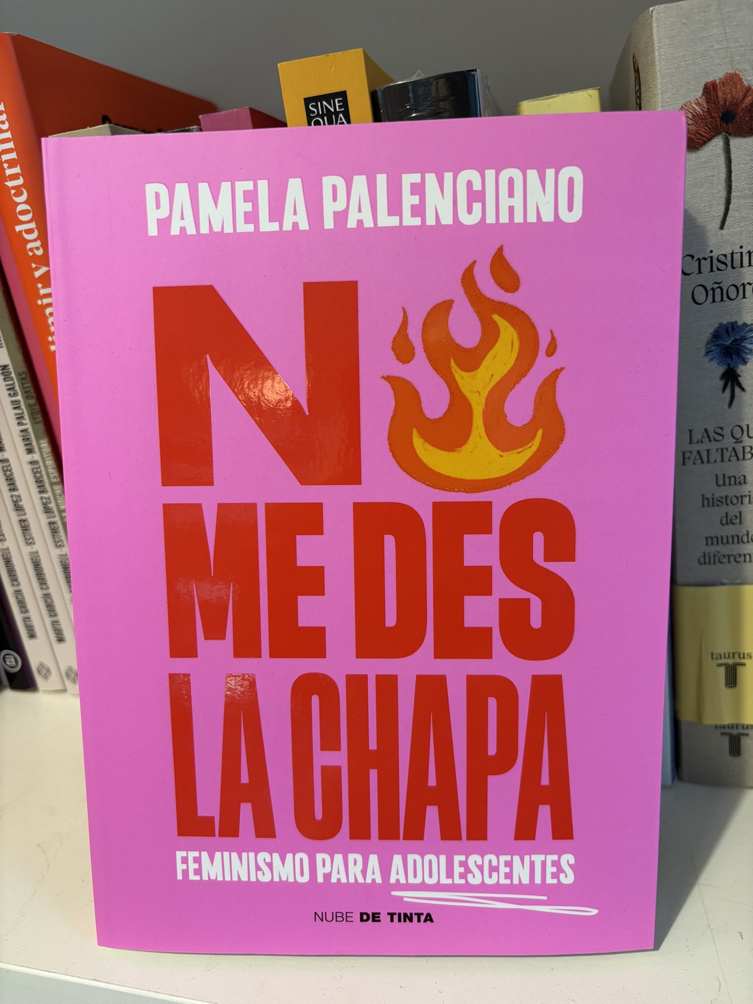 Libro No me des la chapa de Pamela Palenciano